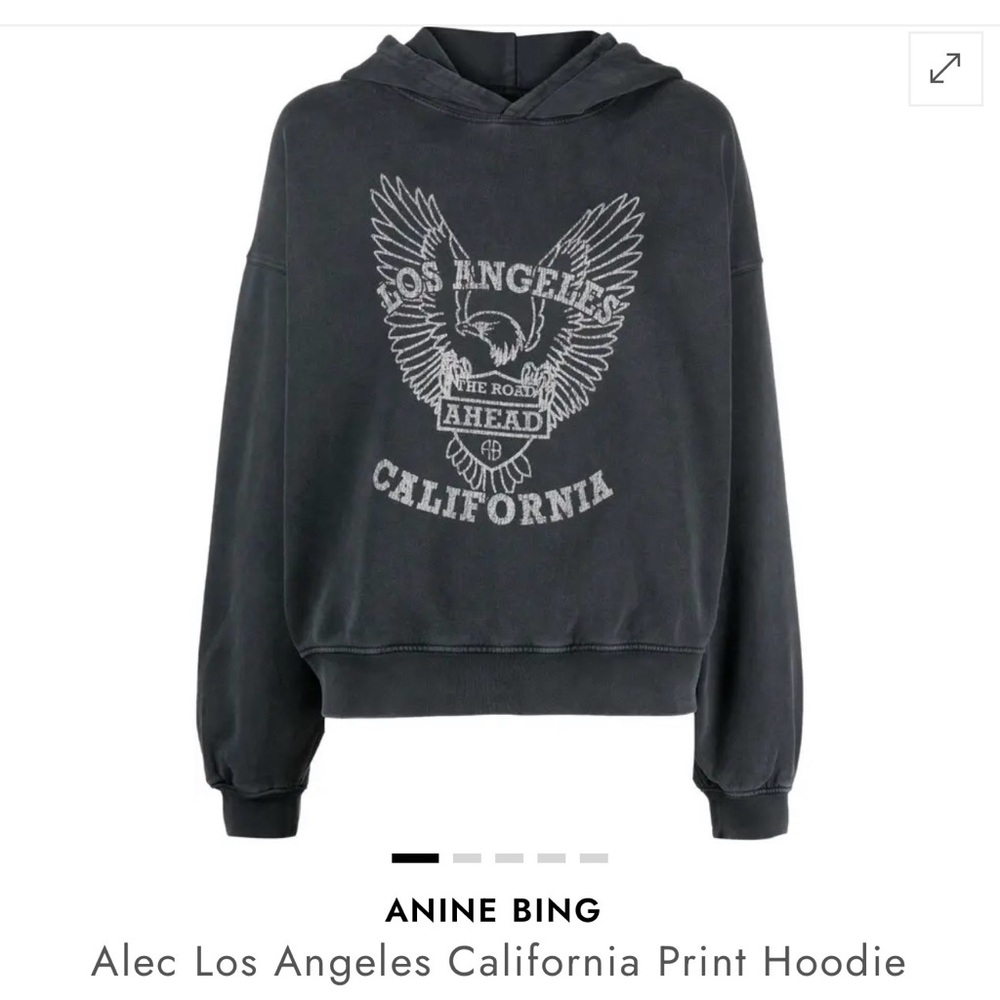 Anine Bing Charcoal Hoodie with Eagle Graphic